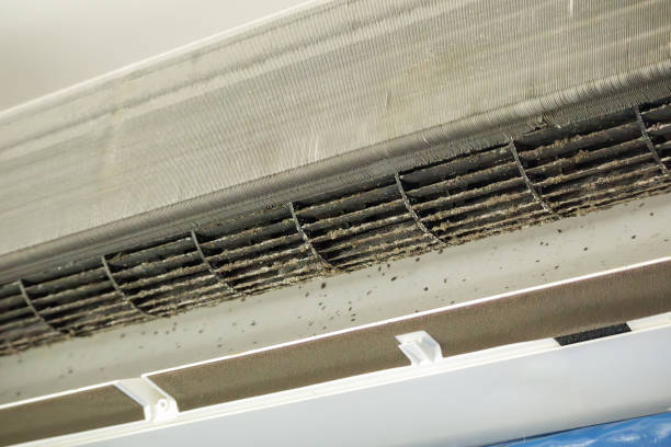 Best Duct Cleaning for Offices  in Tillamook, OR